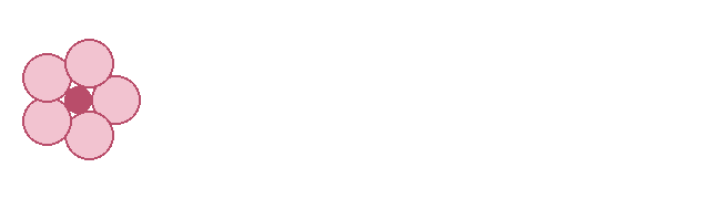 Eleraa footer logo
